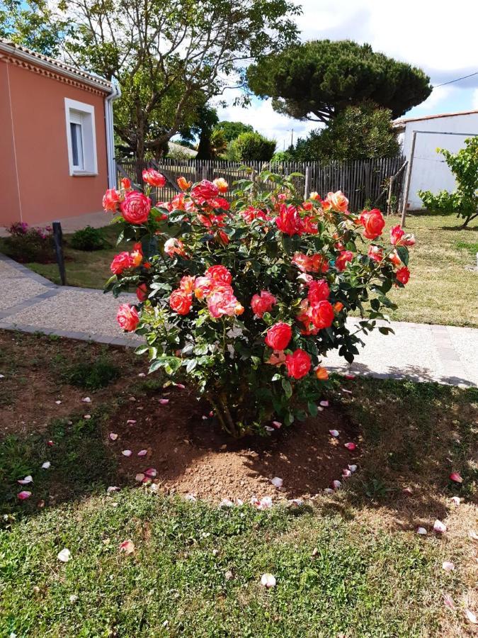 Appartement Independant A 10Min Des Plages Au Calme Proche O'Gliss Et O'Funparken Campagne La Jonchere Zewnętrze zdjęcie